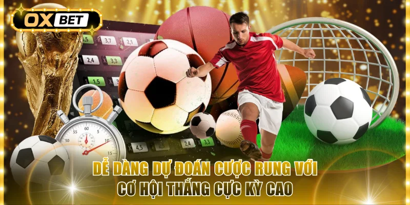 Dễ dàng dự đoán cược rung với cơ hội thắng cực kỳ cao