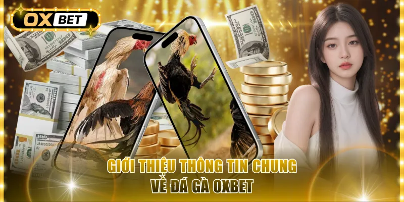 Giới thiệu thông tin chung về đá gà Oxbet
