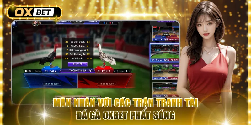 Mãn nhãn với các trận tranh tài đá gà Oxbet phát sóng